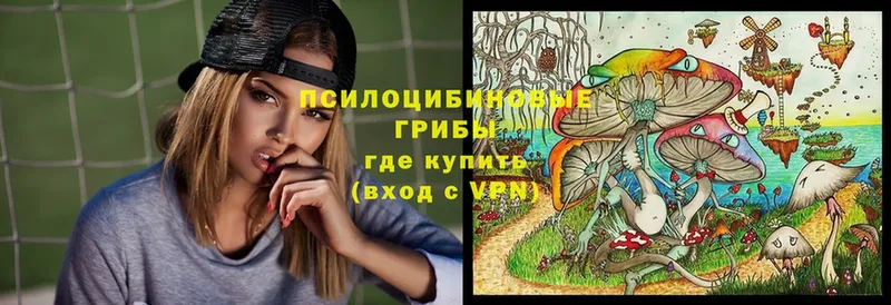 Псилоцибиновые грибы прущие грибы  Тарко-Сале 